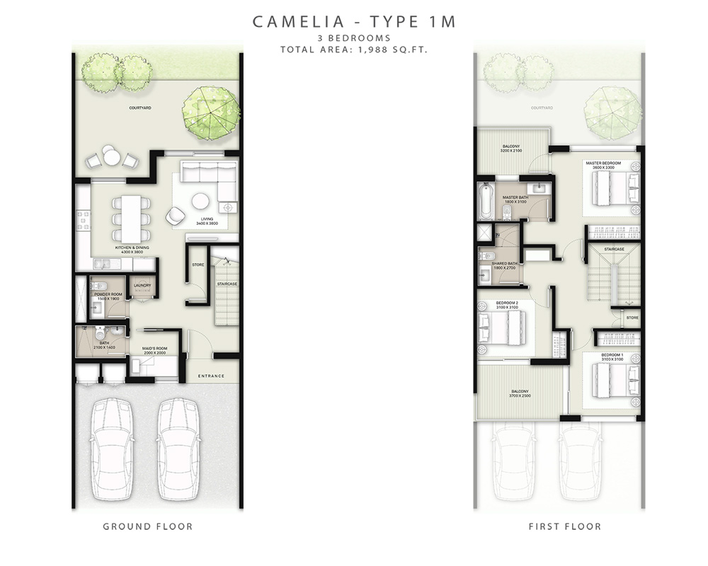 1 Bedroom